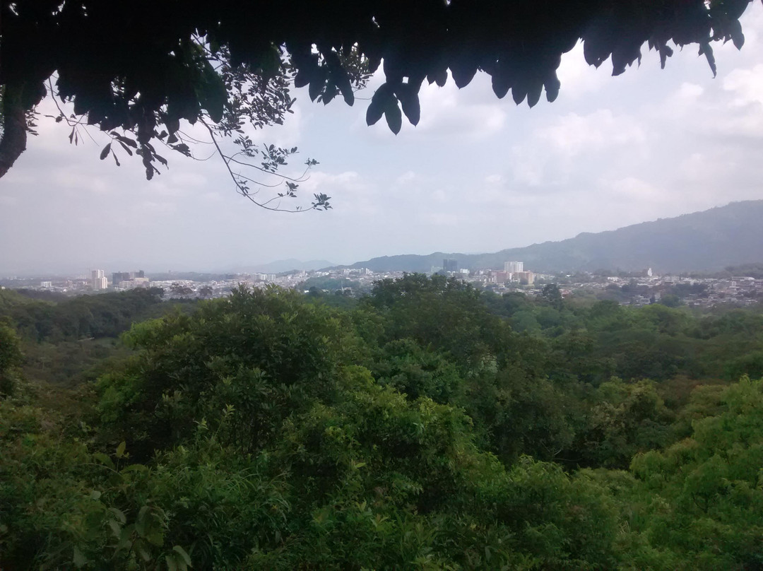 Jardín Botánico San Jorge-Ibague必去景点