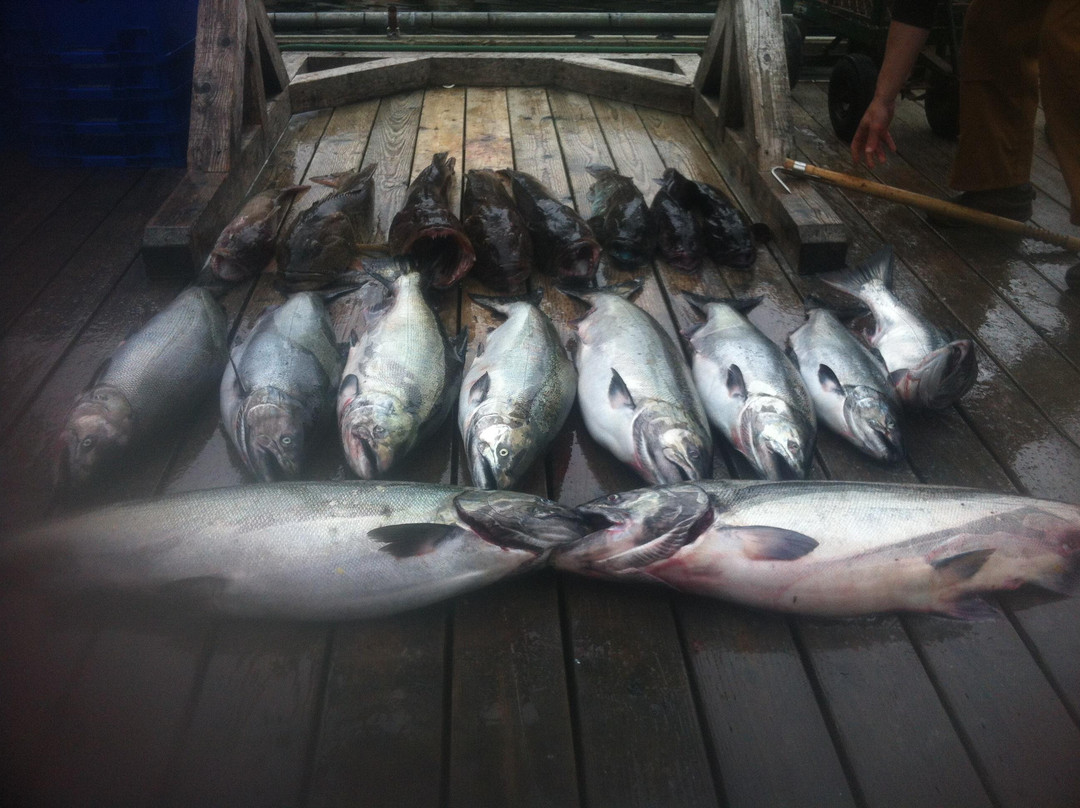 No Bananas Fishing Charters景点图片