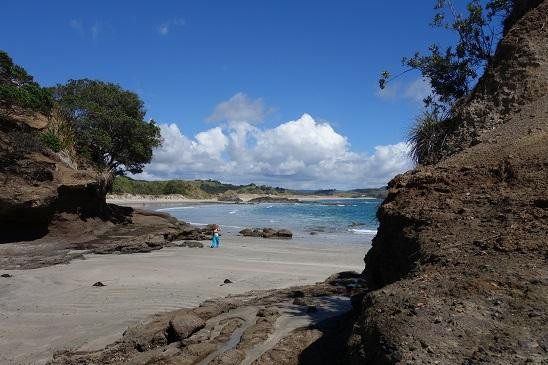Tawharanui Regional Park-瓦卡沃夫必去景点