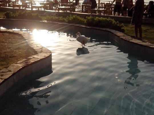 Ephesus Tours Day Tours-库萨达斯必去景点