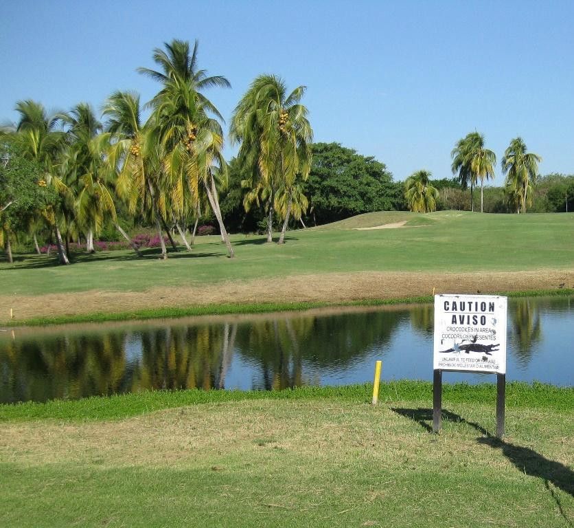 Flamingos Golf-Bucerias必去景点
