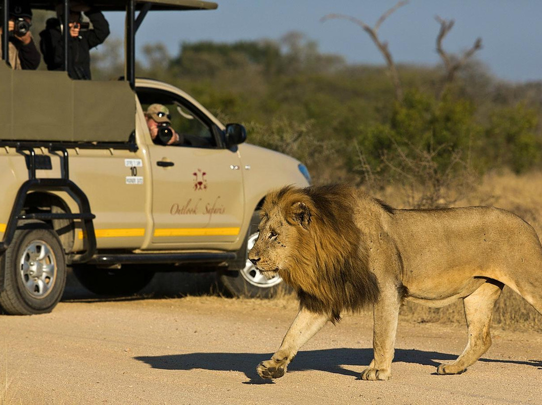 Outlook Safaris-克鲁格国家公园必去景点