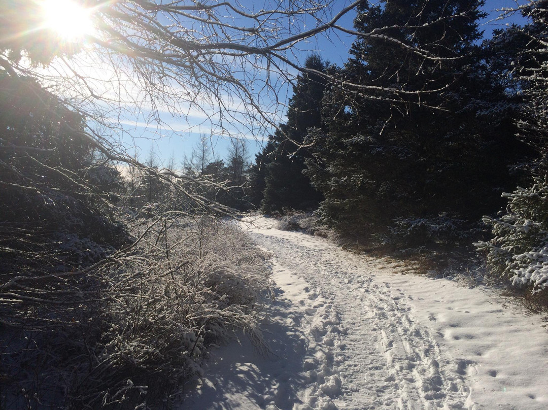 Amherst Point Bird Sanctuary-Amherst必去景点