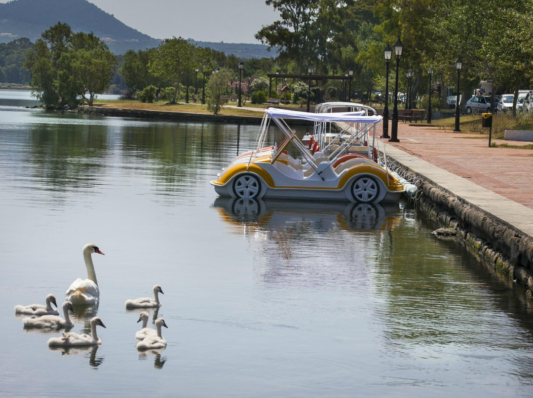 Argostoli Lagoon Activities-阿尔戈斯托利翁必去景点