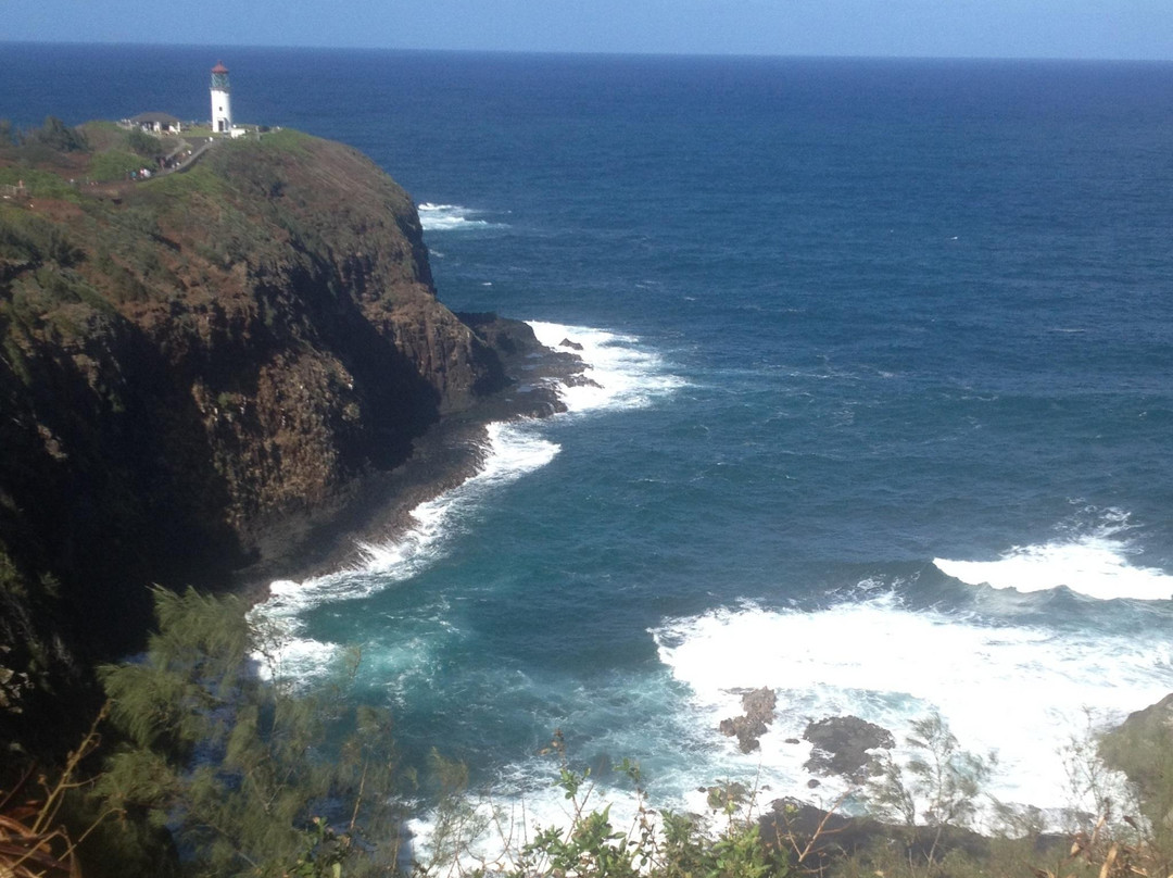 津劳也亚自然生物保护区-基拉韦厄必去景点