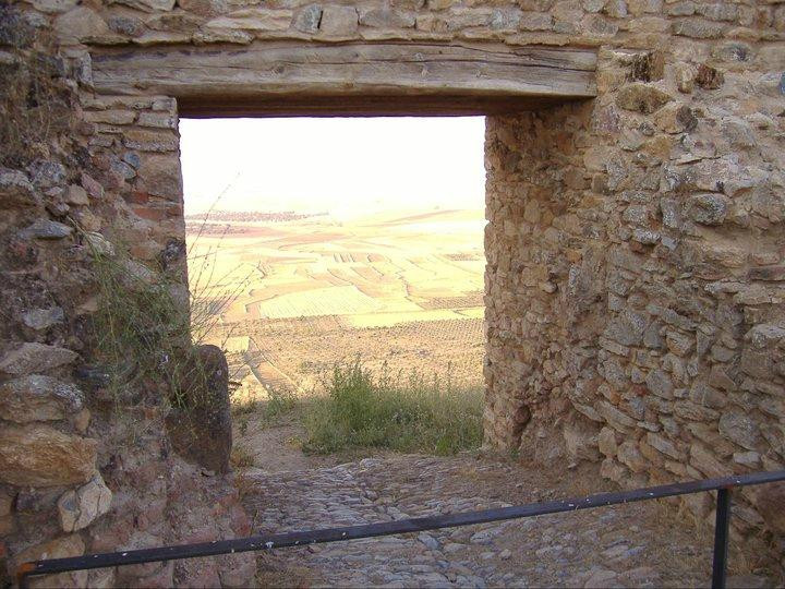 Alcazaba de Reina景点图片