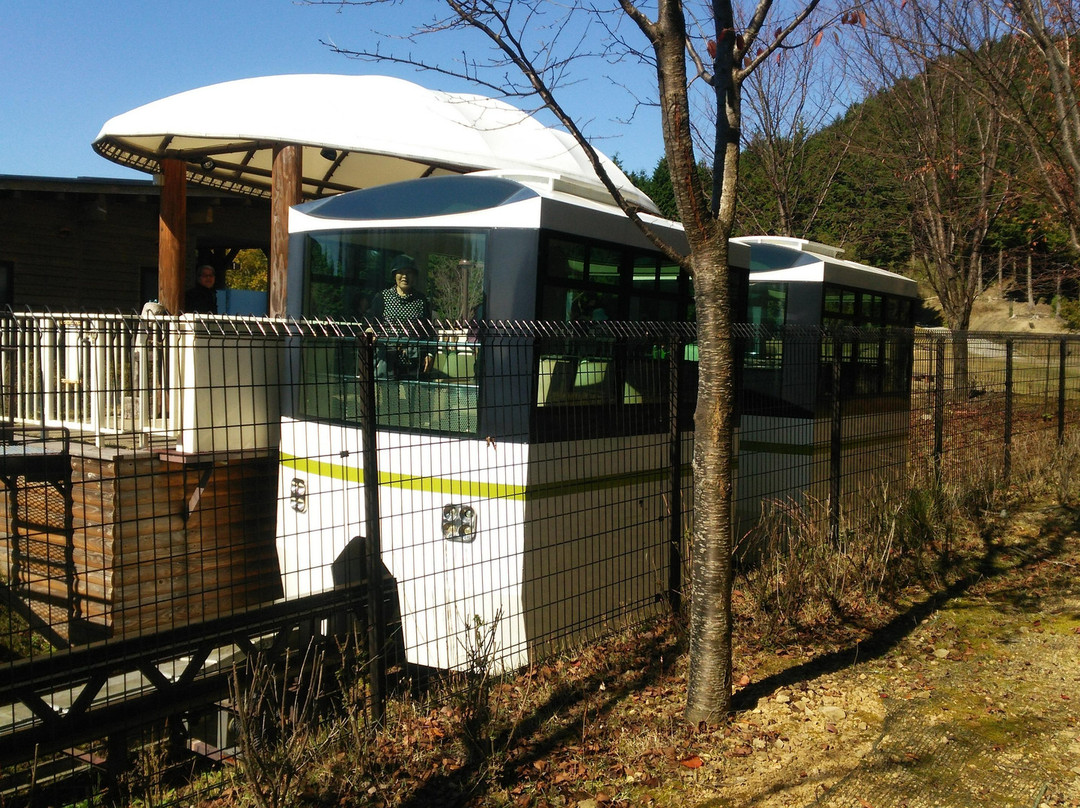 Kunimi no Mori Park-肉粟市必去景点