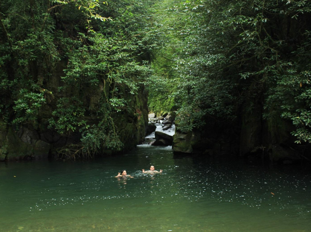 Mtirala National Park-Chakvistavi必去景点