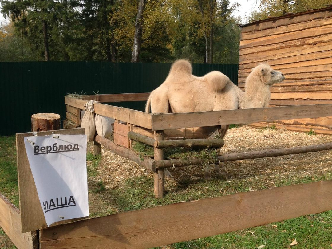 Zoo Park in Kostroma景点图片