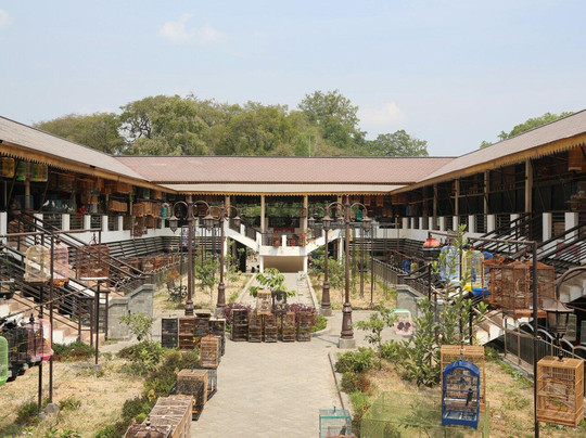 Taman Pasar Burung Depok-梭罗必去景点