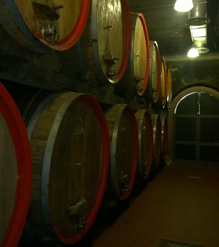 Tenuta Vitereta景点图片