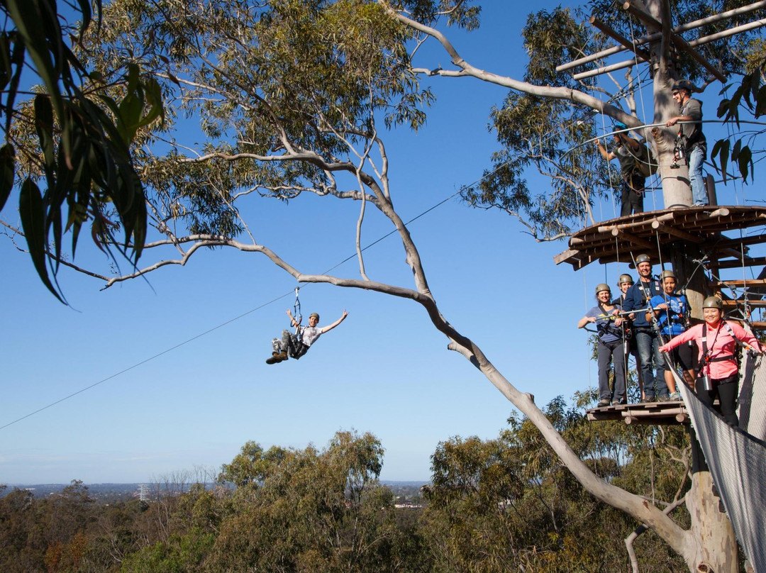 TreeTop Safari景点图片