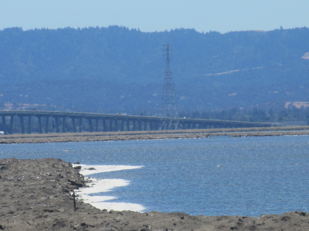 Coyote Hills Regional Park-费利蒙必去景点