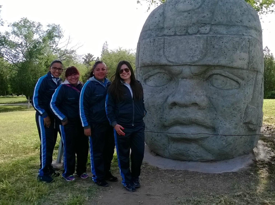Archaeology and History Museum of El Chamizal-华瑞兹城必去景点