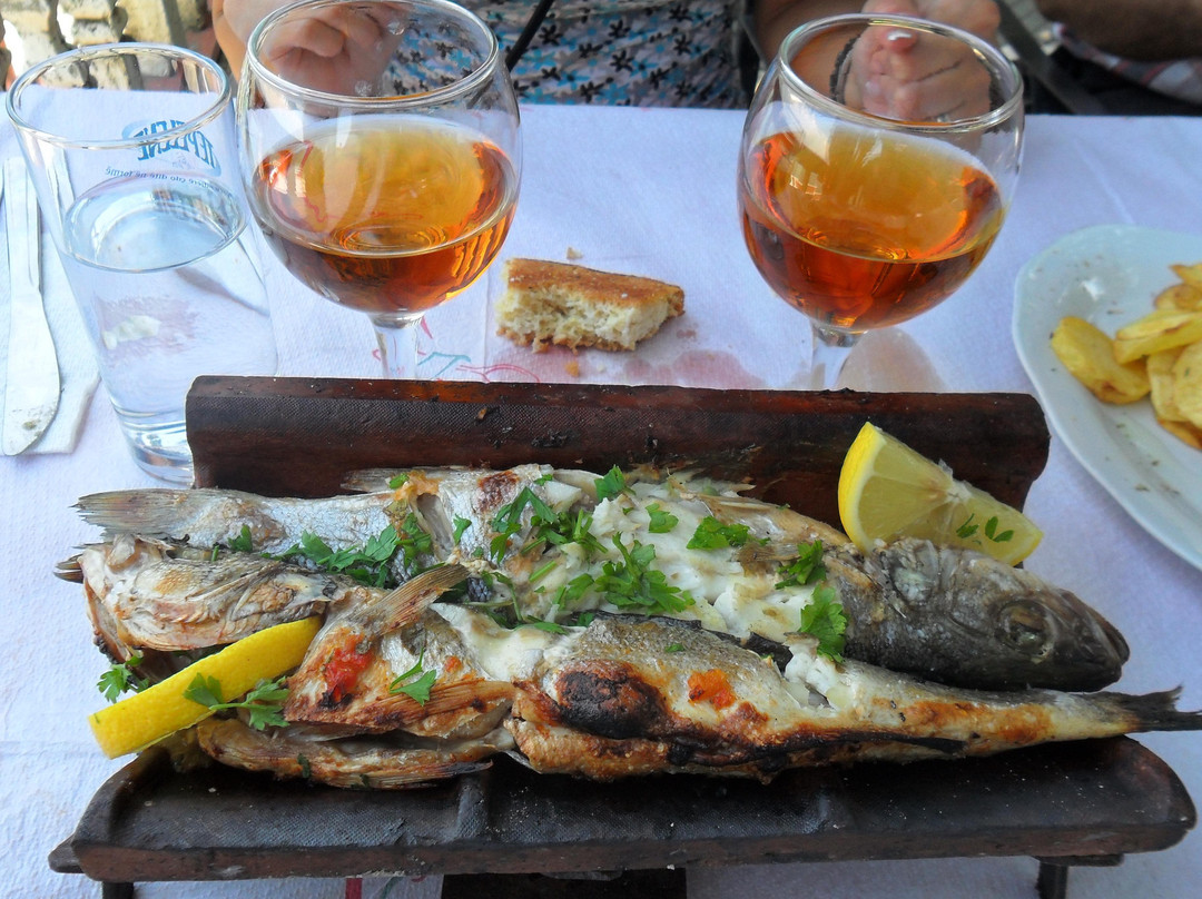 Taverna Shkodrane