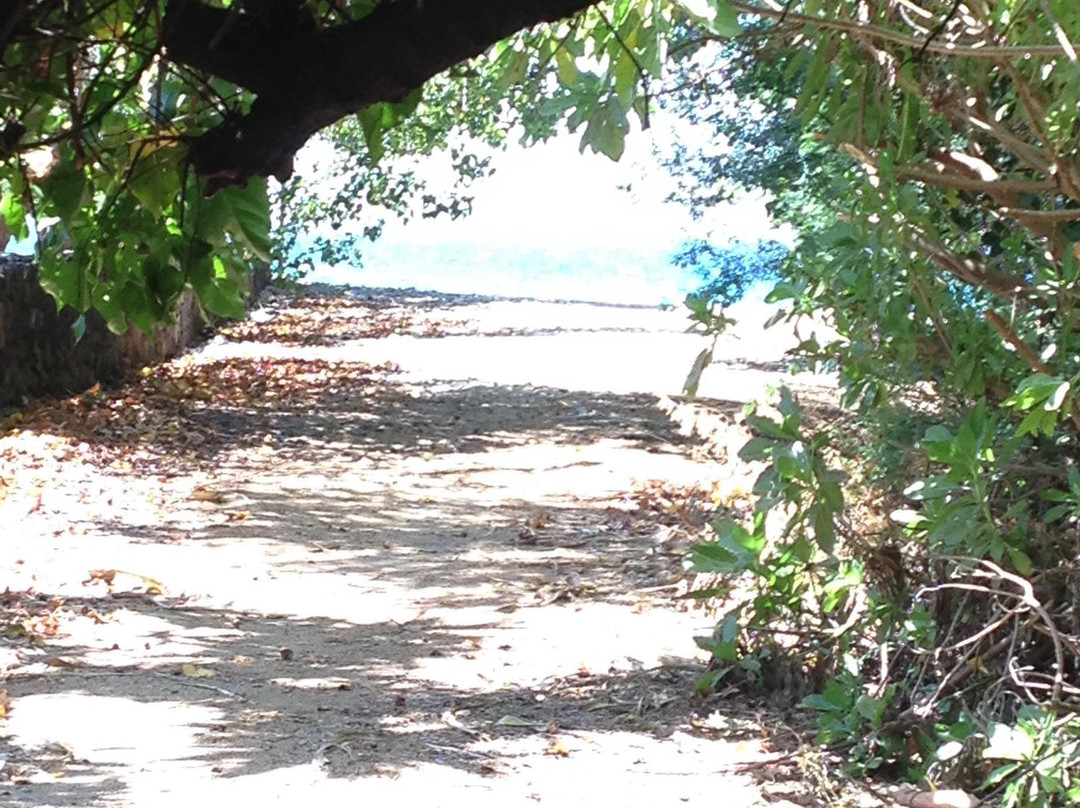 Puako Bay-普阿克必去景点