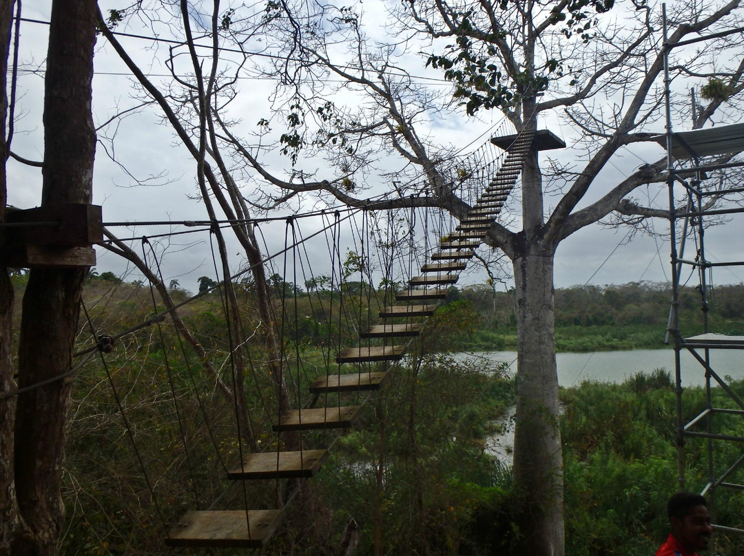 Canopy Aventura La Laguna del Viento景点图片