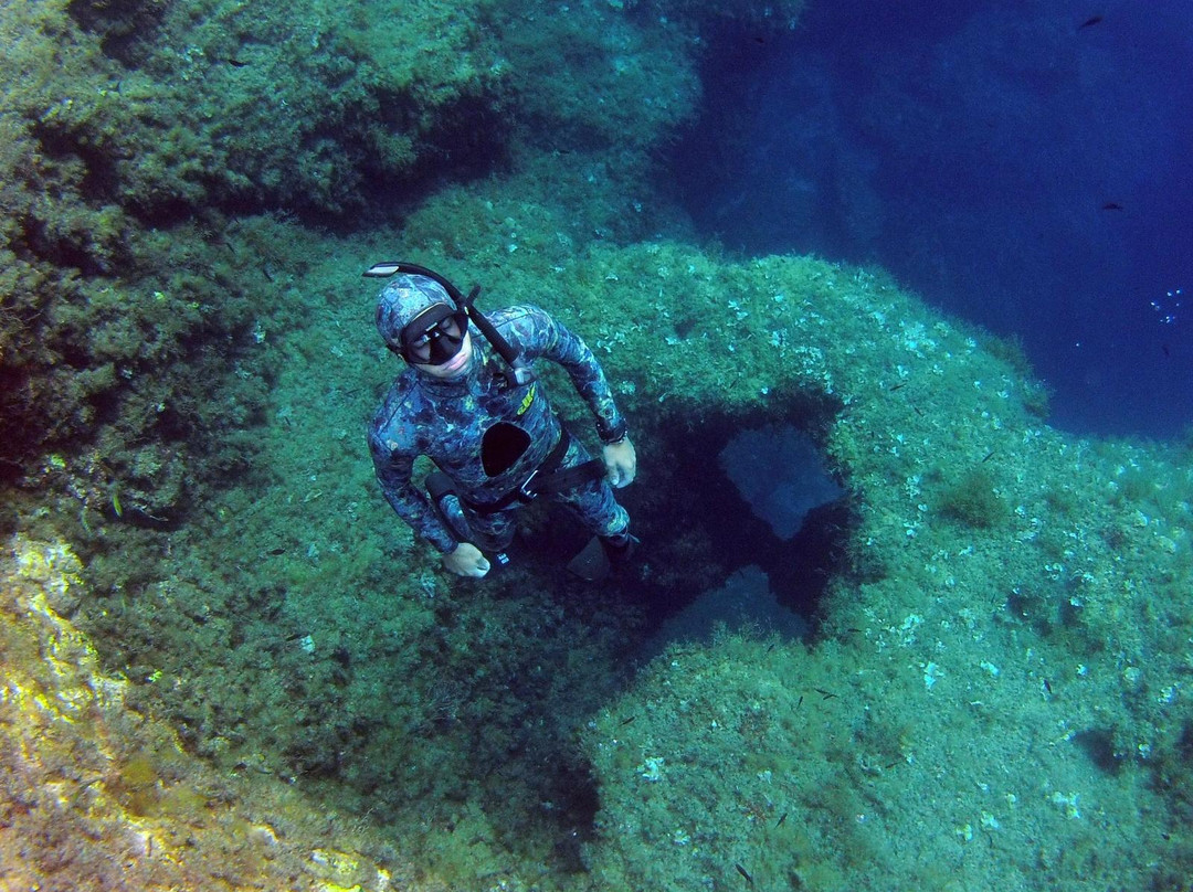 One Breath Freediving-圣保罗湾城必去景点