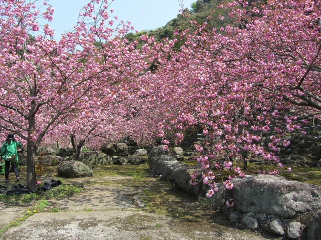 Isshinji Temple-大分市必去景点