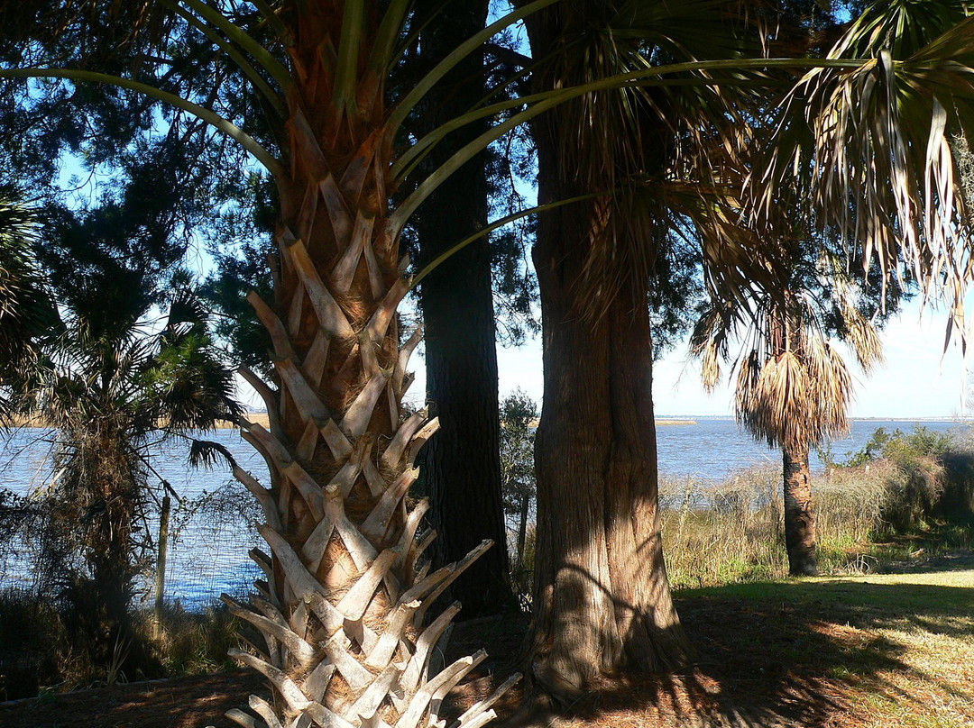 Hobcaw Barony景点图片