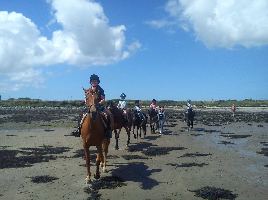 Carmen's Riding School-Kilkee必去景点