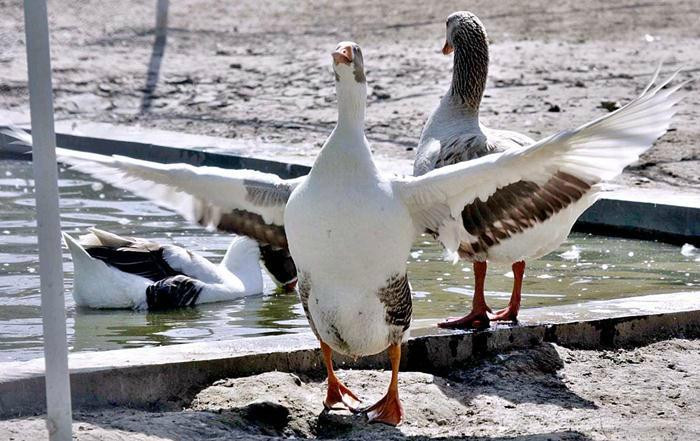 Funland Rani Bagh-海德拉巴必去景点