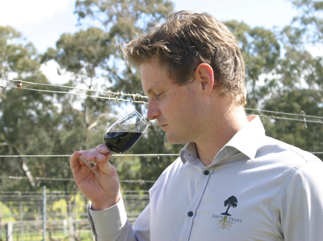 Harcourt Valley Vineyards-Harcourt必去景点