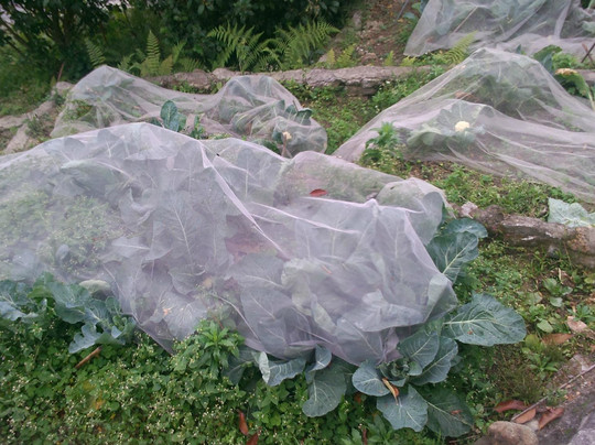 凤凰径-香港必去景点