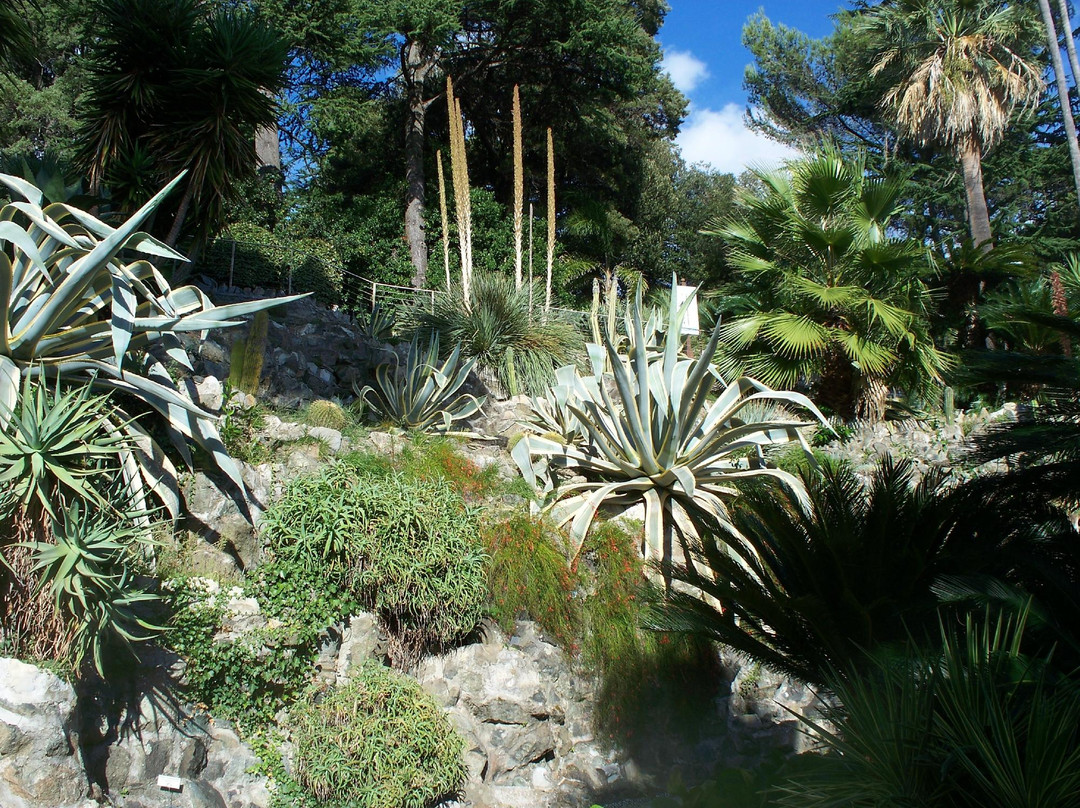 Parco Botanico Villa Rocca景点图片
