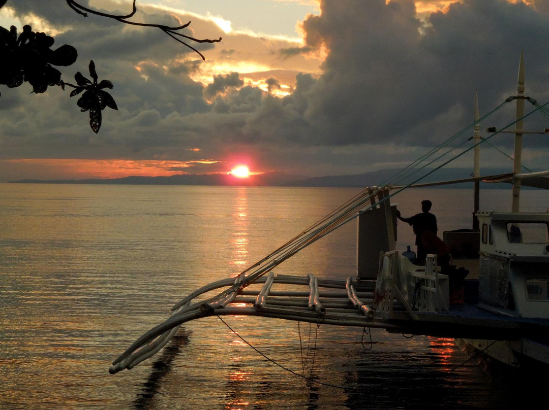 Micronesian Divers Association-Piti必去景点