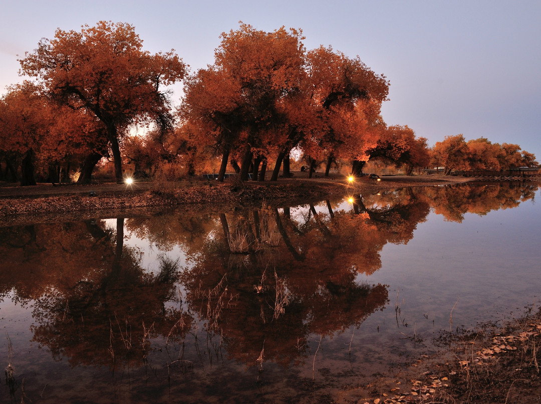 内蒙古额济纳旗胡杨林国家级自然保护区-阿拉善左旗必去景点