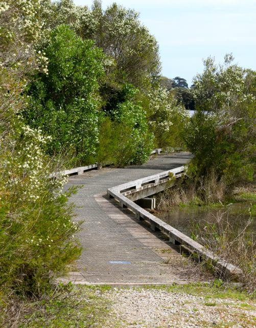 Fisher's Wetland-Newhaven必去景点