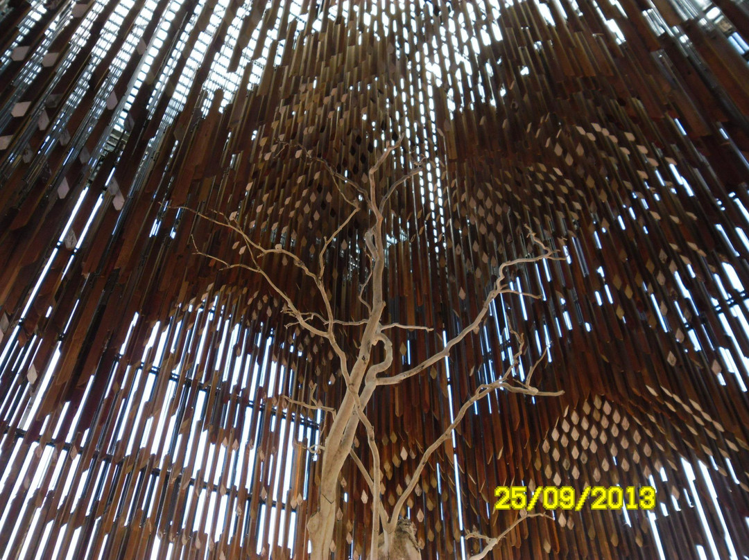 Tree Of Knowledge-Barcaldine必去景点