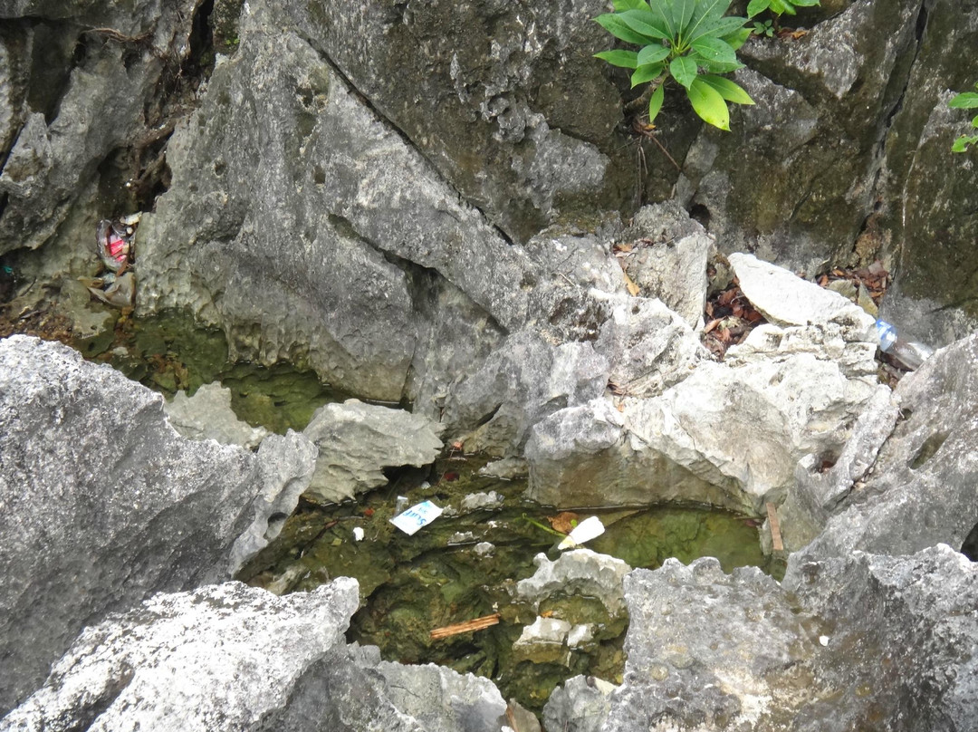 Barracuda Lake-科隆必去景点