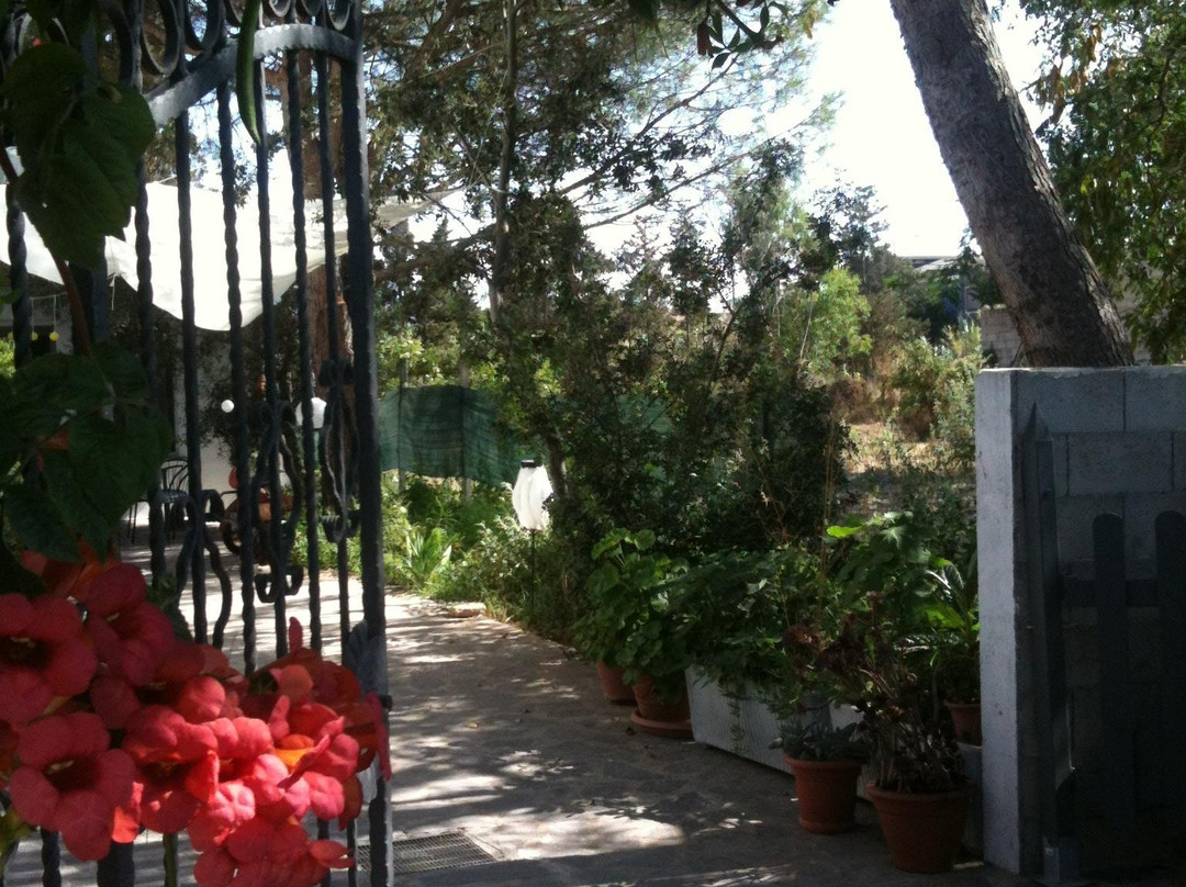 Il Giardino di Emilio主图
