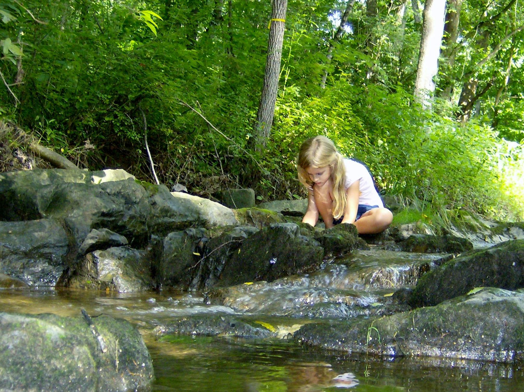 Wildwood Park-雷德福必去景点