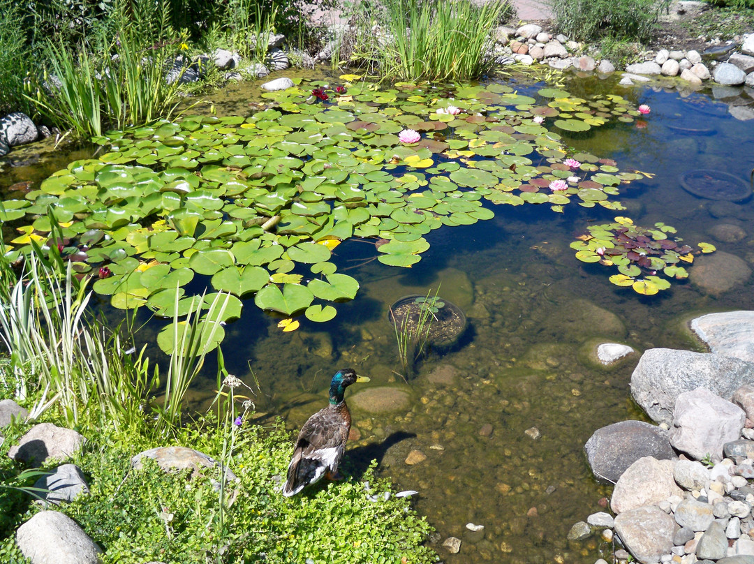 Central Gardens Of North Iowa-Clear Lake必去景点