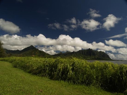 瓦胡岛摄影之旅-火奴鲁鲁必去景点