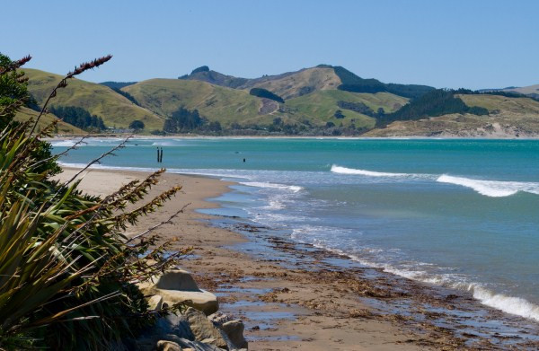 Tararua Tiki Tours Day Tours景点图片