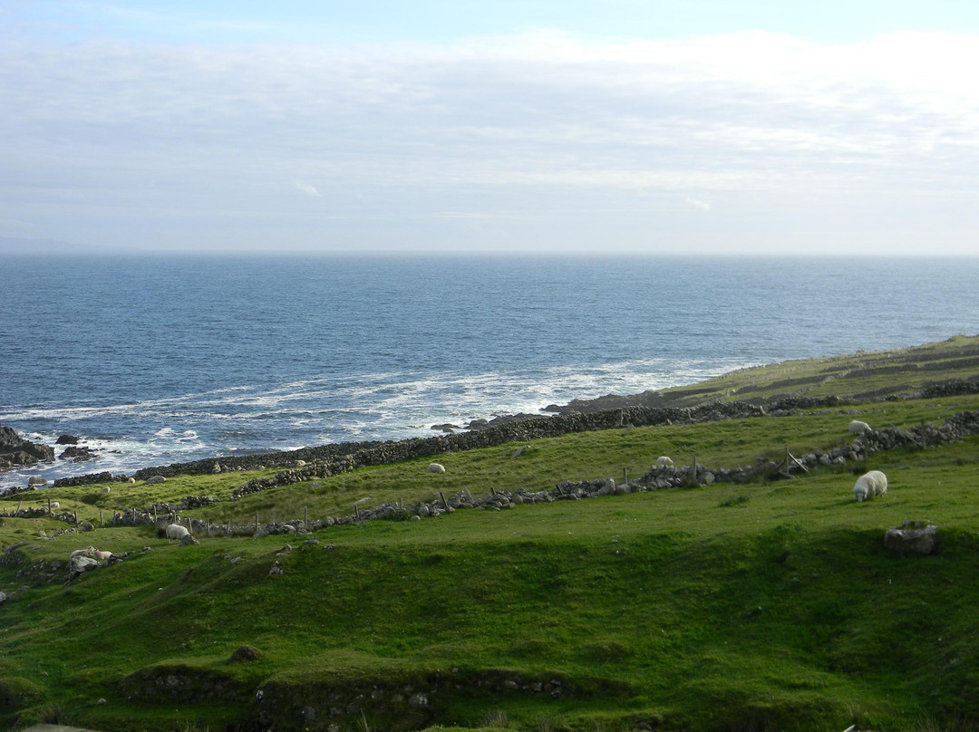 The Glen Hotel主图