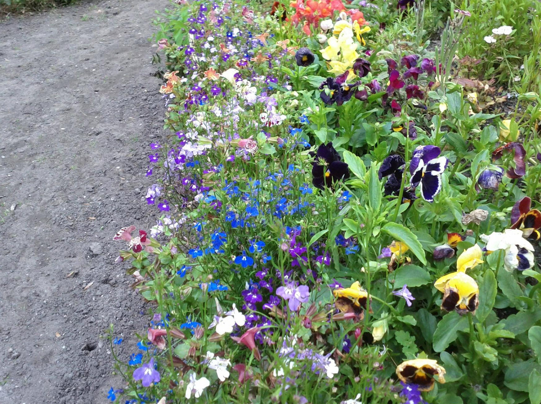 Leaming's Run Gardens景点图片