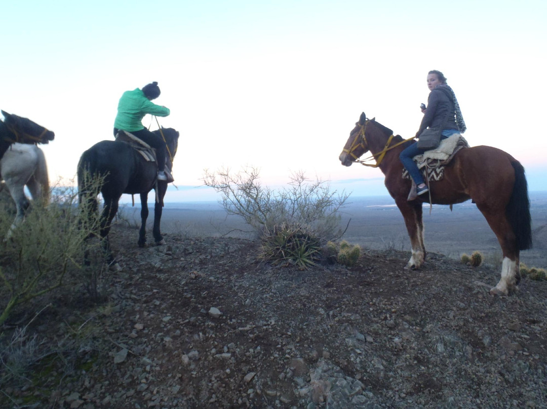 Los Pingos Horse Riding-Godoy Cruz必去景点