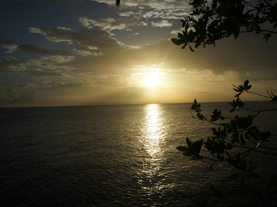 Negril Sunset Tours景点图片