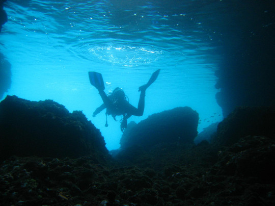 Diving Porto Conte-阿尔盖罗必去景点