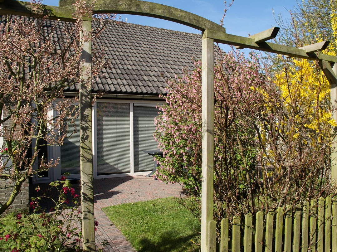 Studio's Roggesloot