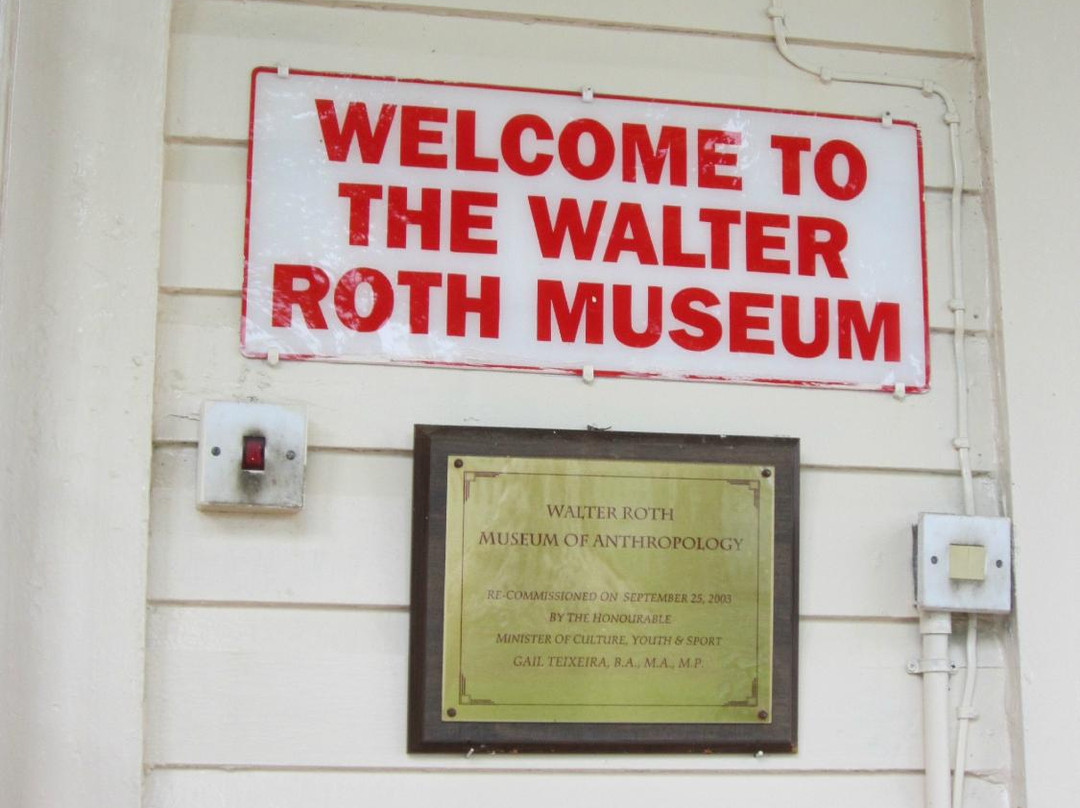 Walter Roth Museum of Anthropology景点图片