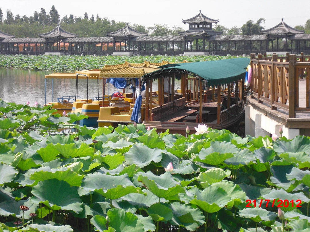 荷花奇境（三水荷花世界）-佛山市必去景点