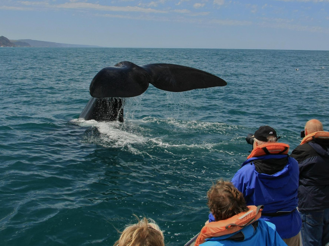 Ocean Odyssey-克尼斯纳必去景点