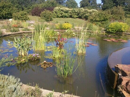 Powell Gardens-Kingsville必去景点