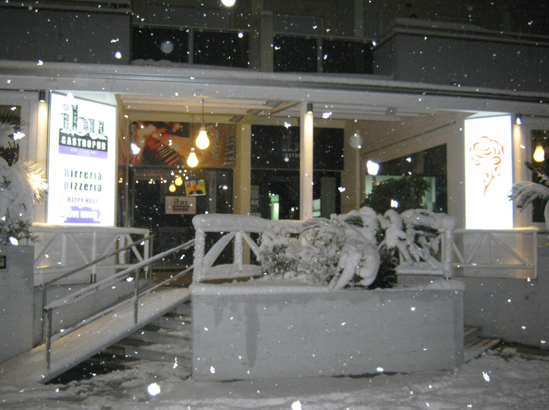 阿尔巴阿德里亚蒂卡餐馆和美食-IBU Gastropub